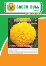 hạt giống hoa cúc vạn thọ (PhuPhanThong) Green Bull Brand 紾ѹͧжҧ١ پҹͧ ҡչ Marigold Seed F1 PhuPhanThong   