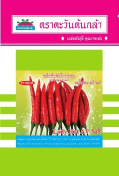 hạt giống ớt F1 Thái Lan chất lượng cao (Bird Pepper Seed) Lady Hot AV 345