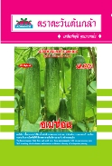hạt giống dưa leo F1 Thái Lan chất lượng cao (Cucumber Seed) "Amazon" (18-20 cm) 