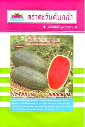 hạt giống dưa hấu F1 Thái Lan chất lượng cao (Watermelon Seed) "Hirock 04" 