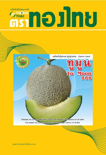 hạt giống dưa lưới "To Moon 888" เมล็ดพันธุ์แคนตาลูป "ทูมูน" Melon Seeds